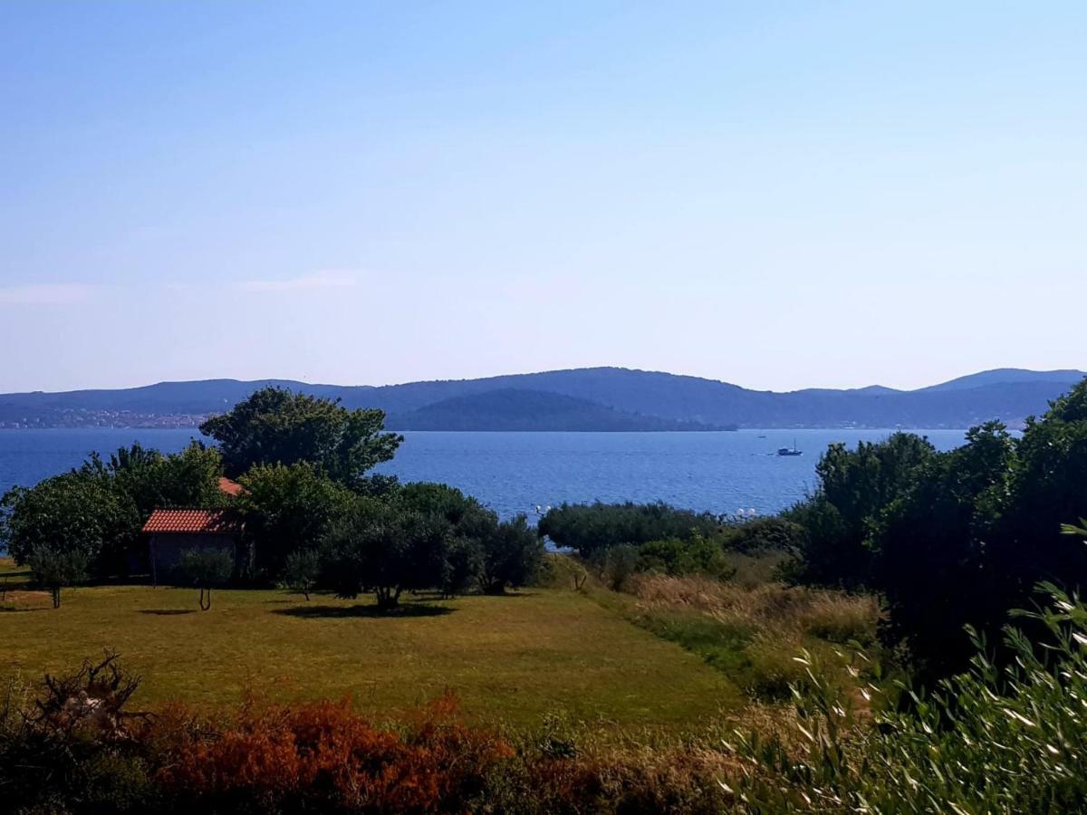 Luca Zadar